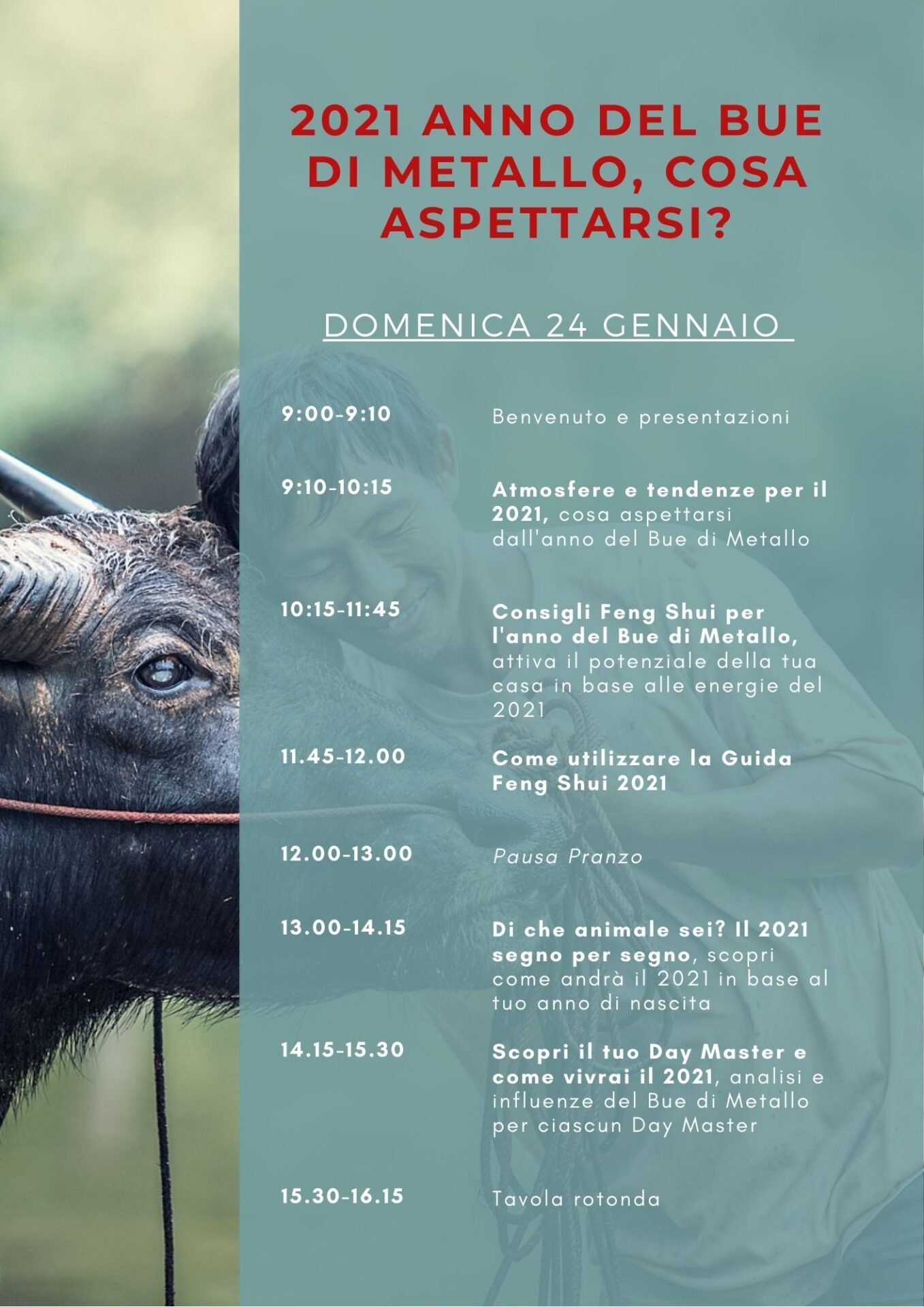 2021 Bue di Metallo yin cosa aspettarsi?