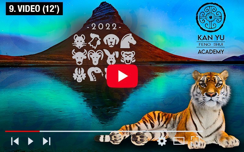 2022, lo Spirito della Tigre d’Acqua Yang