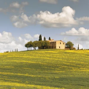 Corso Quando gli Sha non sono a tuo favore! - Feng Shui Case Studies