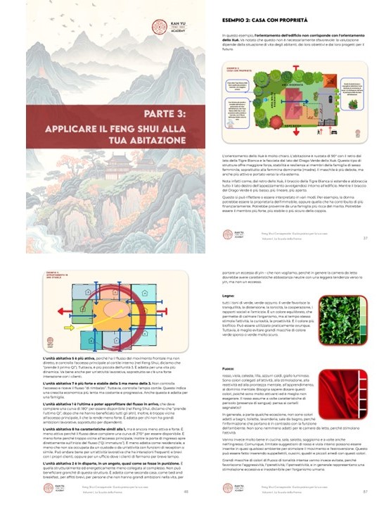 guida pratica feng shui casa volume 1 - Feng Shui Consapevole - Guida Pratica per la tua casa