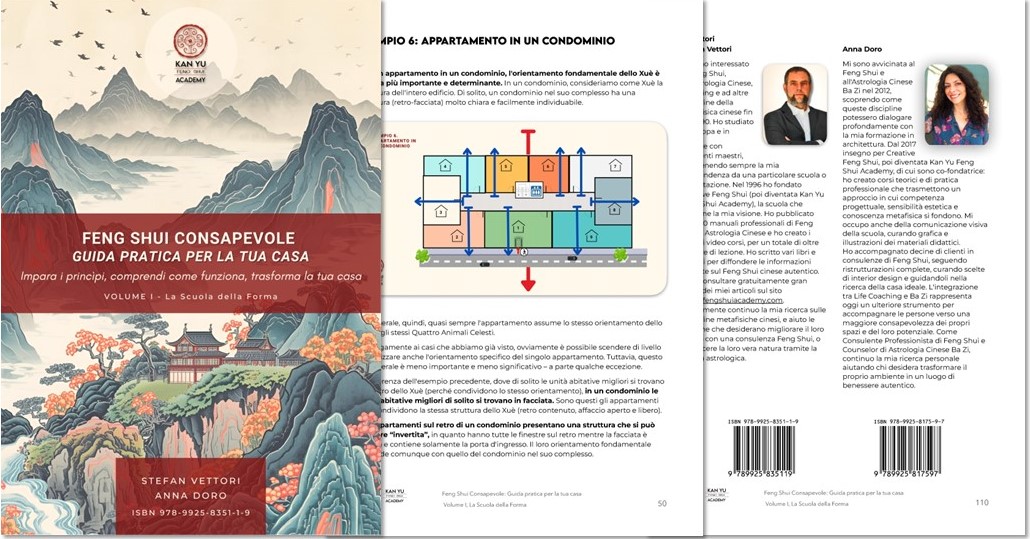 guida pratica feng shui casa volume 1 - Guida Pratica Feng Shui Consapevole per la Tua Casa